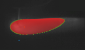 projection d'un cordon sur une image du bain liquide
